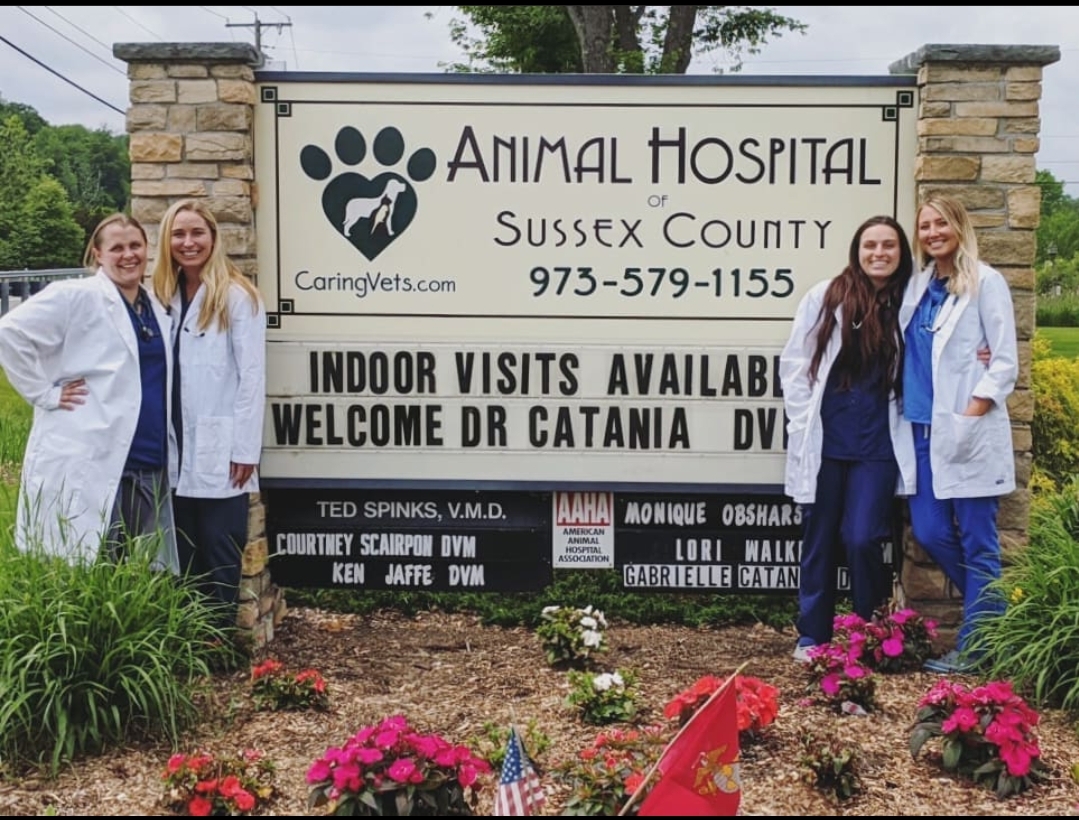Veterinarian in Augusta, NJ | The Animal Hospital of Sussex County